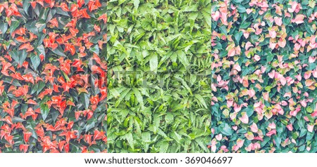 Colorful flowers. It looks natural and breezy. That is suitable 
for background,backdrop,wallpaper and artwork design.
