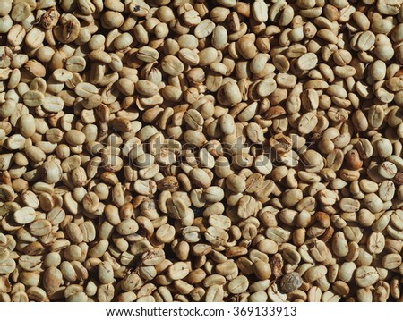high quality high land raw green light brown yellow coffee beans dried with solar energy prepare to roast as picture backdrop or background