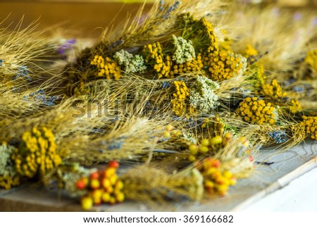 Composition from dry flowers.Background