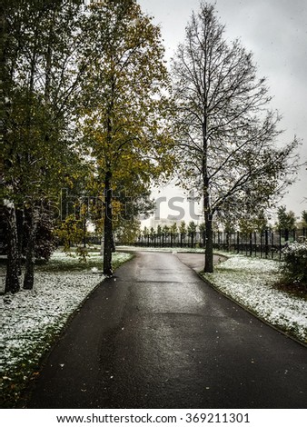 Picture of a path in a park in Moscow, Russia