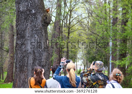 People are taking pictures of squirrels on phones and cameras in the city Park. Dependence on gadgets in modern technology world.