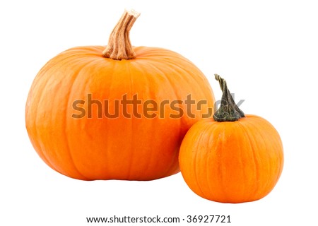 pumpkins, isolated on white background