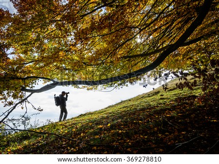 Photographer taking pictures over fall tree. Man taking pictures over fall tree branches leaves on mountain colorful forest.