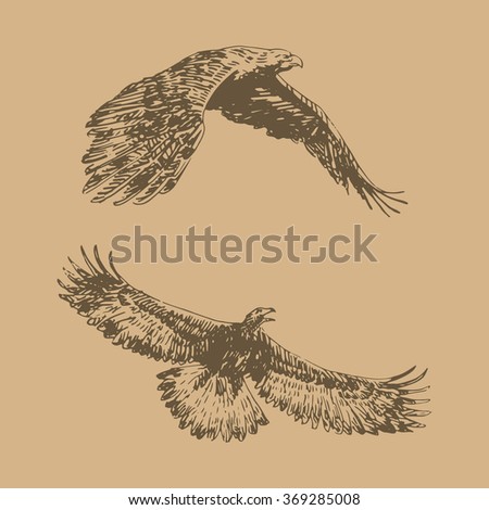 Freehand sketch of flying eagle. Hand drawn sketch. Vector illustration
