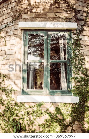 Old vintage window with garden view - Vintage Filter