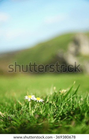  The wild plant among the field scenery represent the autumn and botany concept related idea.