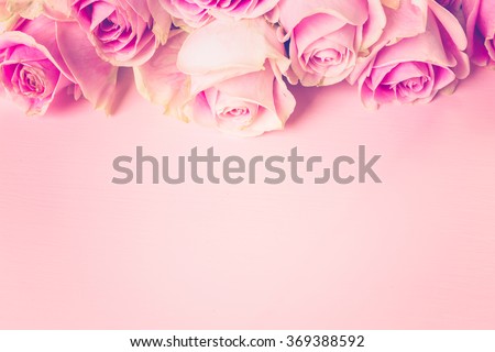 Pink roses on pink background.