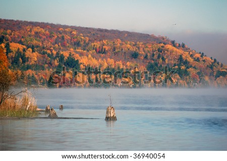 Picture of a colorful autumn landscape with morning fog