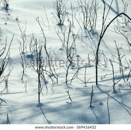 abstract background, snow-covered land closeup winter day
