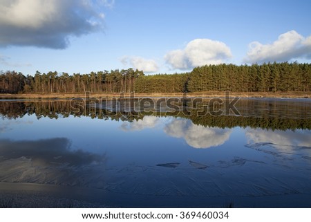 Fen landscape with blue sky and white clouds