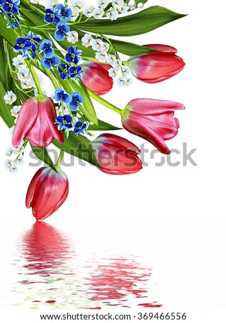 spring flowers tulips isolated on white background. lilies of the valley