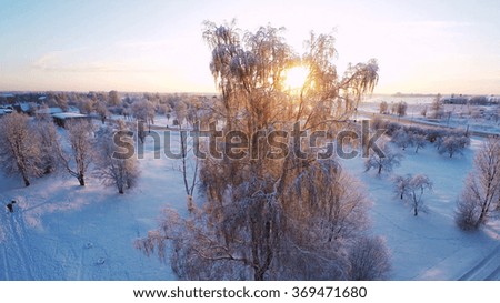 Frozen trees covered with snow. Aerial photography. Sunset.