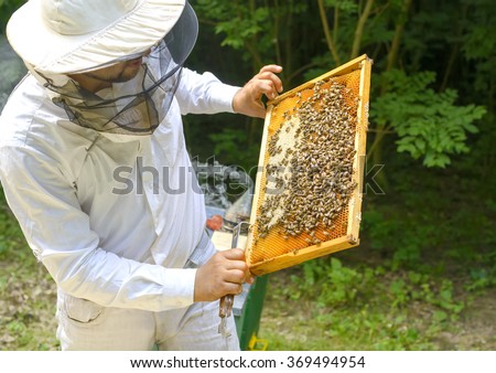 bee keeper with bee colony Royalty-Free Stock Photo #369494954