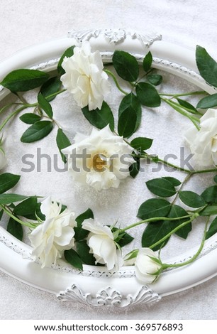The beautiful and luxury of white roses and vintage frames on background of velvet