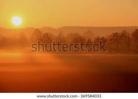 Background Morning Sun Royalty-Free Stock Photo #369584033