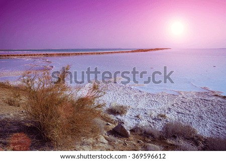 Dead sea salty shore 
