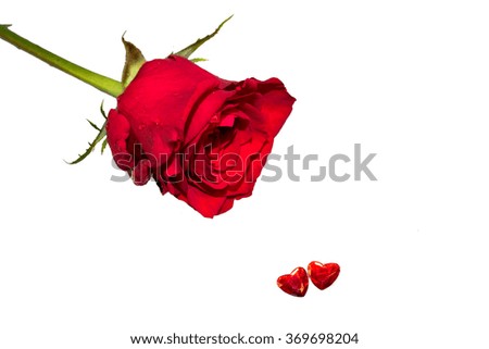 Valentine's rose with two hearts isolated on white background