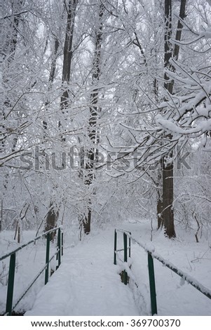Snowing landscape in the park. High resolution and beautiful snow details