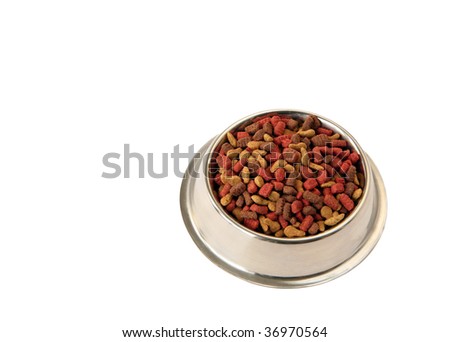 bowl with pet food