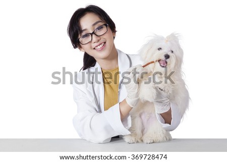 Picture of happy female veterinarian smiling at the camera while giving a snack on a maltese dog