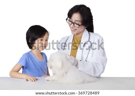 Picture of beautiful little girl carrying a maltese dog to the veterinarian, isolated on white