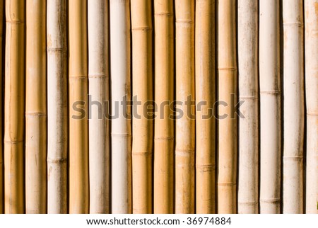 bamboo texture as wall, architecture decoration in asia.