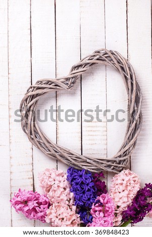 Postcard with fresh hyacinths  and  decorative heart on painted wooden  background.  Selective focus. Place for text. 