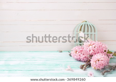 Background  with hyacinths,  willow flowers on turquoise painted wooden planks against white wall. Selective focus and empty place  for your text.
