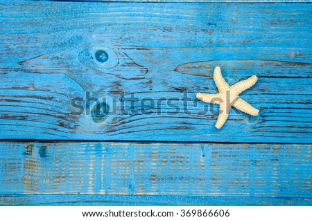 Seashells on wood painted blue background.