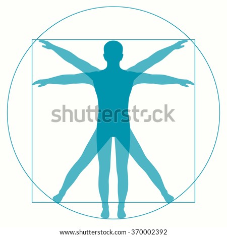 Leonardo Da Vinci Vetruvian Man, human anatomy Royalty-Free Stock Photo #370002392