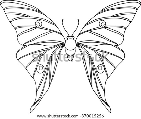 Hand drawn ornamental butterfly vector outline illustration 