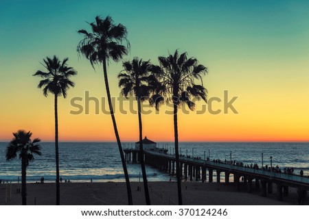 Palm trees at Manhattan Beach. Vintage processed. Fashion travel and tropical beach concept.
