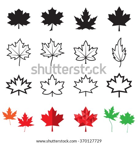 Maple leaf icons. Vector illustration Royalty-Free Stock Photo #370127729