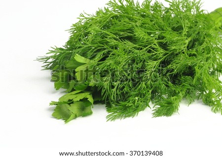 lie on white background freshly picked dill and parsley