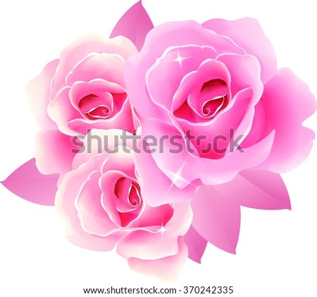 Beautiful roses for design of greeting cards and gift packages for Valentine's day, birthday, wedding, etc. (isolated on white background) 