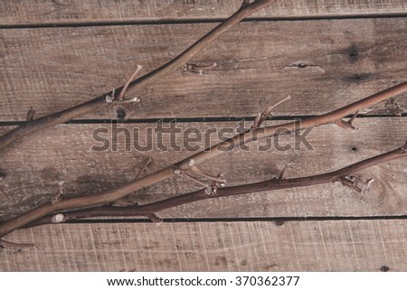 branches on a wooden background