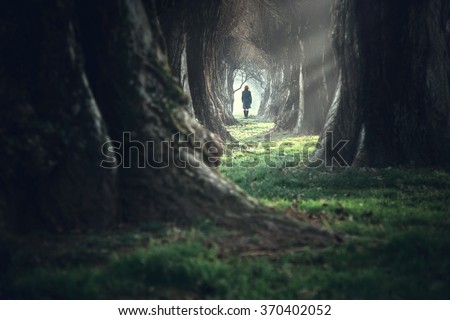 Woman walking in the mystic magic deep forest Royalty-Free Stock Photo #370402052