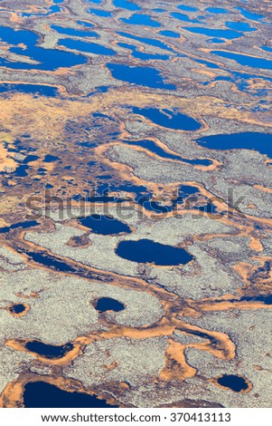 Aerial view of endless marshes in autumn