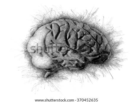Human brain 3d illustration. Digital painting