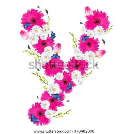 alphabet flower Y, Gerber, tulips and butterfly isolated on white background. 