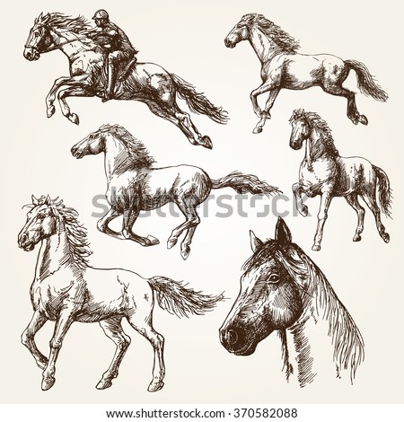 Horses. Hand drawn set.