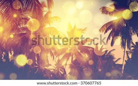 Tropical Hawaiian beach in sunset with coconut palm trees, panoramic view. Bokeh and vintage effect.