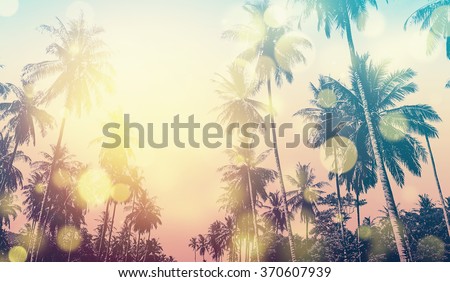 Tropical Hawaiian beach in sunset with coconut palm trees, panoramic view. Bokeh and vintage effect.