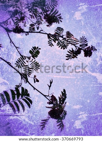 Leaves and branches on grunge background