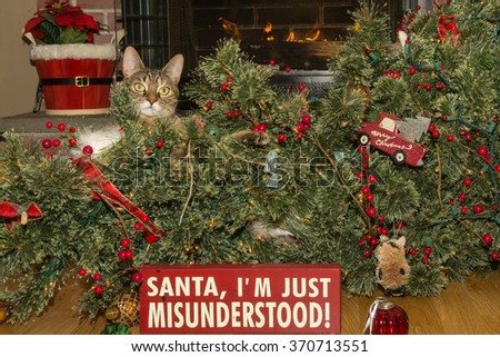 Cat Destroys Christmas