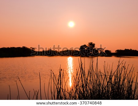 silhouette trees at background and grass  foreground of sunset over lake picture 