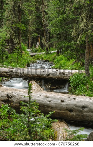 Slow exposure of a mountain creek making its way under fallen logs