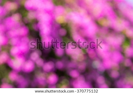 Abstract pink blur bokeh form flower background