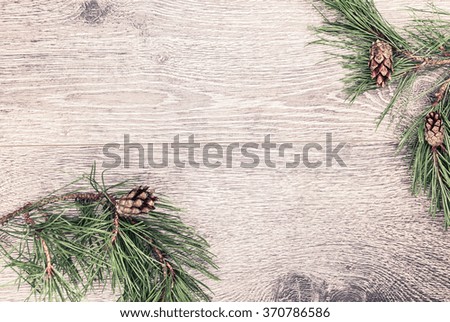 Christmas fir tree with cones 