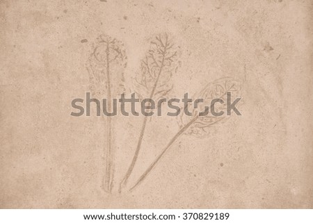 Pattern leaves on wall background made clay mold clay into a residential home
